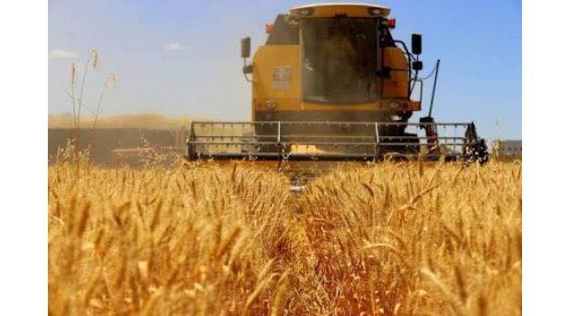 Vekil Minsolmaz Hububat Alımları Hakkında Açıklama Yaptı