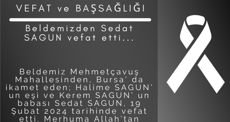 Sedat Sagun, Yaşamını Yitirdi