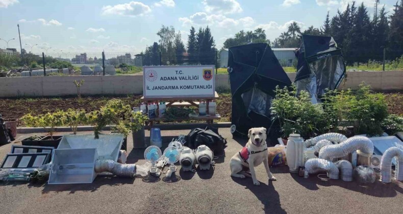 Adana’da ’iklimlendirme sistemli’ uyuşturucu üretimine 5 gözaltı