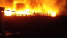 Eber Gölü’nde sazlık alanda yangın çıktı, alevler metrelerce yükseldi