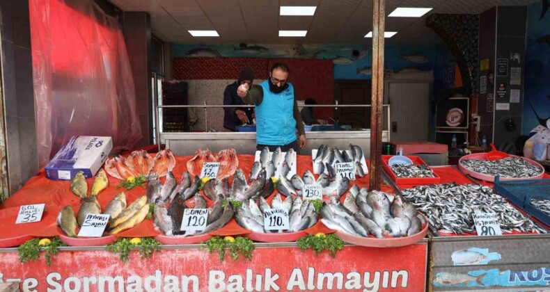 Elazığ’da en çok tercih edilen balık çeşitleri hamsi, istavrit ve alabalık oldu