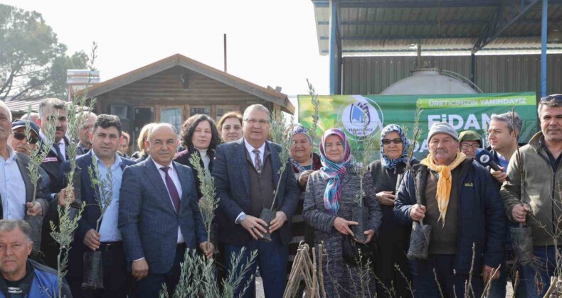 Yunusemre Belediyesi fidan dağıtacak