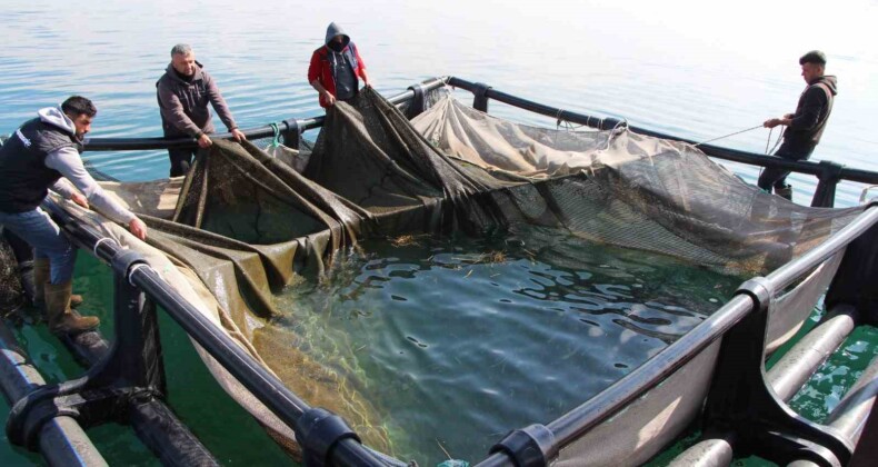 Şanlıurfa’dan ülke ekonomisine 100 milyon dolar destek