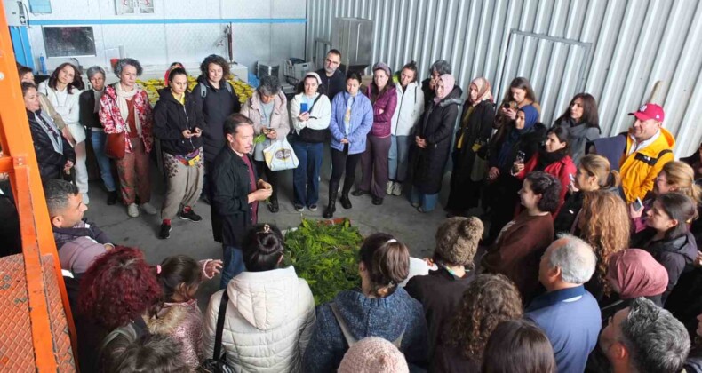 Balıkesir’de tıbbi aromatik bitki yetiştiriciliği kurslarına yoğun ilgi