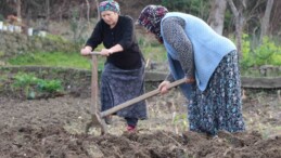 Gençler tarlaya girmiyor