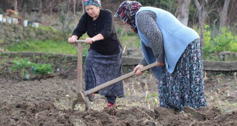 Gençler tarlaya girmiyor