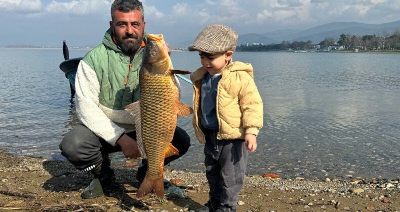 İznik Gölü’nde sazan bereketi