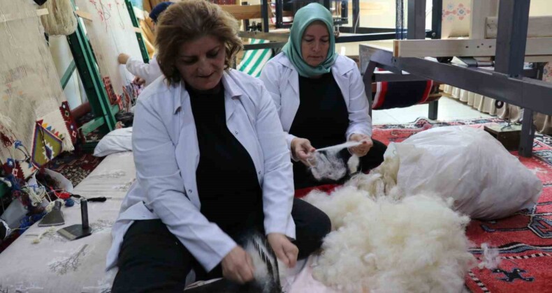 Norduz yününden ilk kumaşlar üretilmeye başlandı